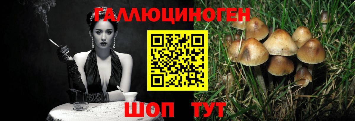 Псилоцибиновые грибы мухоморы Феодосия